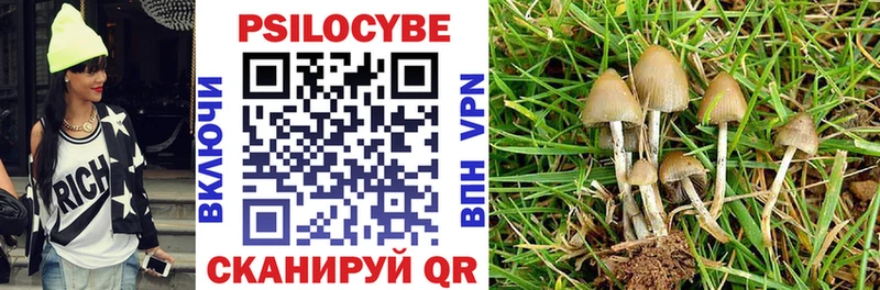 Псилоцибиновые грибы GOLDEN TEACHER  Байкальск 
